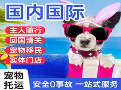 东极机场邮寄国际宠物托运 【国